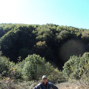  ,   , 42 ,   , 