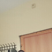 ���������� ������, ���� ������� �������, 28 ���, ������������ ��� ������, ����� � ���������, c�������� ���������