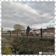 ���������� ���������� �����, ���� ������� ���������, 44 ����, ������������ ��� ������, ����� � ���������