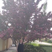  ,   , 45 ,   ,   , c 