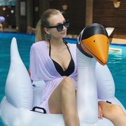 ���������� ����, ���� ������� ���������, 27 ���, ������������ ��� ������, ����� � ���������, c�������� ���������, ���������