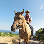 ���������� ������, ���� ������� �����, 44 ����, ������������ ��� ����� � ���������, c�������� ���������