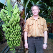 ���������� ������, ���� ������� ������, 60 ���, ������������ ��� ������, ����� � ���������, c�������� ���������