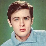 ���������� ������, ���� ����� ������, 24 ����, ������������ ��� ������, ����� � ���������