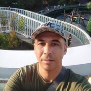  ,  , 43