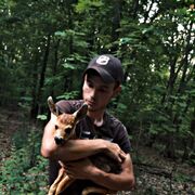 ���������� ������, ���� ������� ������, 26 ���, ������������ ��� ������, ����� � ���������