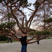 ���������� ������, ���� ������� �����, 84 ����, ������������ ��� ������, ����� � ���������