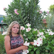 ���������� ������ ��������, ���� ������� �����, 44 ����, ������������ ��� ����� � ���������, c�������� ���������