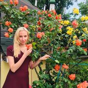 ���������� �����-���������, ���� ������� ����, 36 ���, ������������ ��� c�������� ���������