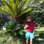  ,   Dima, 33 ,   ,   , c 