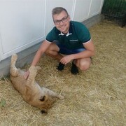 ���������� �����������, ���� ������� ������, 33 ����, ������������ ��� ������, ����� � ���������