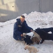 ���������� �������, ���� ������� �����, 43 ����, ������������ ��� ���������