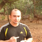  ,   Ganzienko81, 44 ,   