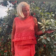 ���������� �����, ���� ������� �������, 53 ����, ������������ ��� ����� � ���������, c�������� ���������