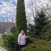  ,   , 65 ,   