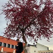 ���������� �����, ���� ������� Grantrd, 31 ���, ������������ ��� ������, ����� � ���������, c�������� ���������, ���������