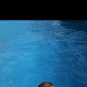 ���������� ������, ���� ������� ������, 38 ���, ������������ ��� ������