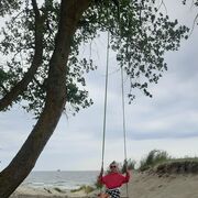 ���������� �����������, ���� ������� ��������, 55 ���, ������������ ��� ����� � ���������, c�������� ���������