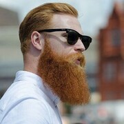 ���������� ������, ���� ������� ������, 33 ����, ������������ ��� ������