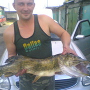 ���������� �����, ���� ������� ���������, 52 ����, ������������ ��� ������