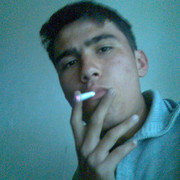  ,   Elbek, 29 ,   ,   , c 