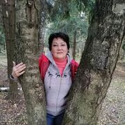 ���������� �������, ���� ������� �������, 66 ���, ������������ ��� ������, ����� � ���������