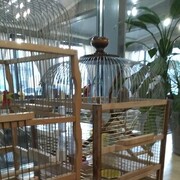 ���������� �����-���������, ���� ������� �������, 35 ���, ������������ ��� ������, ����� � ���������