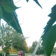  ,   , 60 ,   