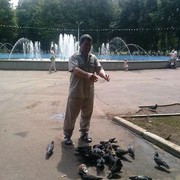 ���������� ����, ���� ������� Iqor, 43 ����, ������������ ��� ������, ����� � ���������, c�������� ���������