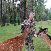 ���������� ������, ���� ������� �������, 53 ����, ������������ ��� ������, ����� � ���������