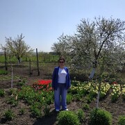 ���������� �����, ���� ������� ��������, 61 ���, ������������ 