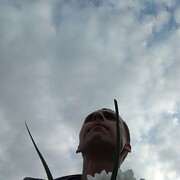 ���������� ������, ���� ������� �������, 39 ���, ������������ ��� ������, ����� � ���������, c�������� ���������