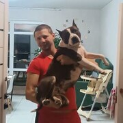 ���������� �����, ���� ������� ����, 33 ����, ������������ ��� ����� � ���������, c�������� ���������