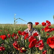  ,   Alexsander, 46 ,   ,   , c , 