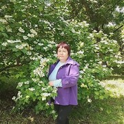  ,  , 48