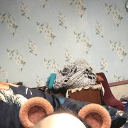  ,   , 53 ,   ,   , c 