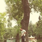  ,   Vagenak, 29 ,   ,   