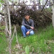 ���������� �������, ������� ����������, 39