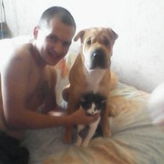   ,   , 33 ,   ,   , c , 