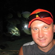 ���������� ������, ���� ������� Krassg, 50 ���, ������������ ��� ������