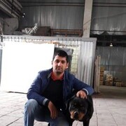 ���������� ������, ���� ������� ��������, 40 ���, ������������ ��� ������, ����� � ���������