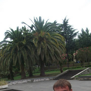 ���������� ������, ���� ������� �����, 37 ���, ������������ ��� ������