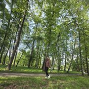 ���������� ������, ���� ������� ���������, 43 ����, ������������ ��� ������, ����� � ���������, c�������� ���������, ���������