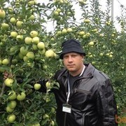 ���������� ������ �����, ���� ������� ����, 40 ���, ������������ ��� ������, ����� � ���������, c�������� ���������