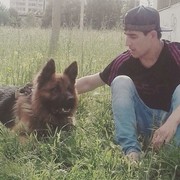  ,   Shadon, 33 ,   ,   , c 