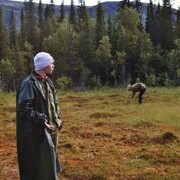 ���������� ��������, ���� ������� ����, 33 ����, ������������ ��� ������, ����� � ���������