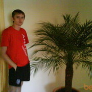 ���������� �������, ���� ������� ������, 44 ����, ������������ 