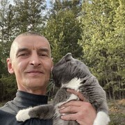 ���������� ���������, ���� ������� �������, 49 ���, ������������ ��� ����� � ���������, c�������� ���������