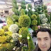  ,  , 32