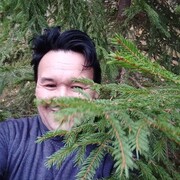  -,   , 52 ,   ,   , c , 
